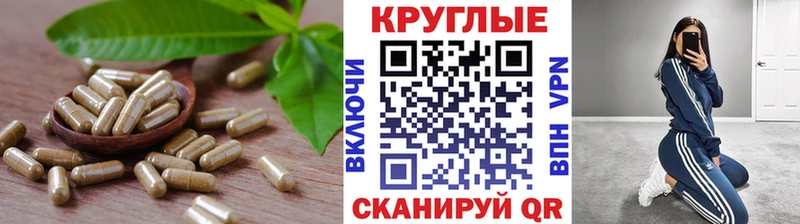 Купить закладки  Ленинск-Кузнецкий  Экстази бентли 