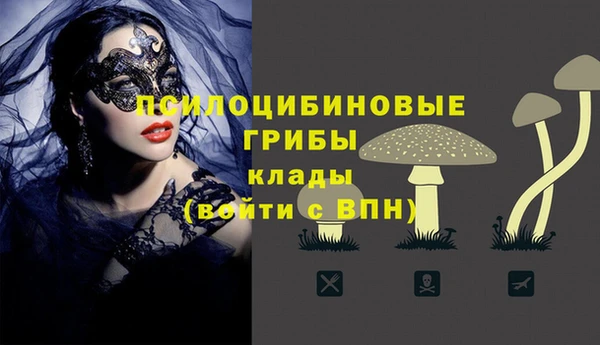 прущие крисы Белокуриха