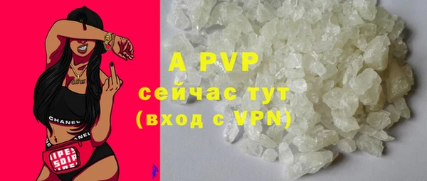 прущие крисы Белокуриха