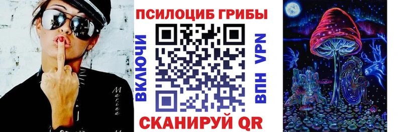 Купить закладки  Ленинск-Кузнецкий  Псилоцибиновые грибы ЛСД 
